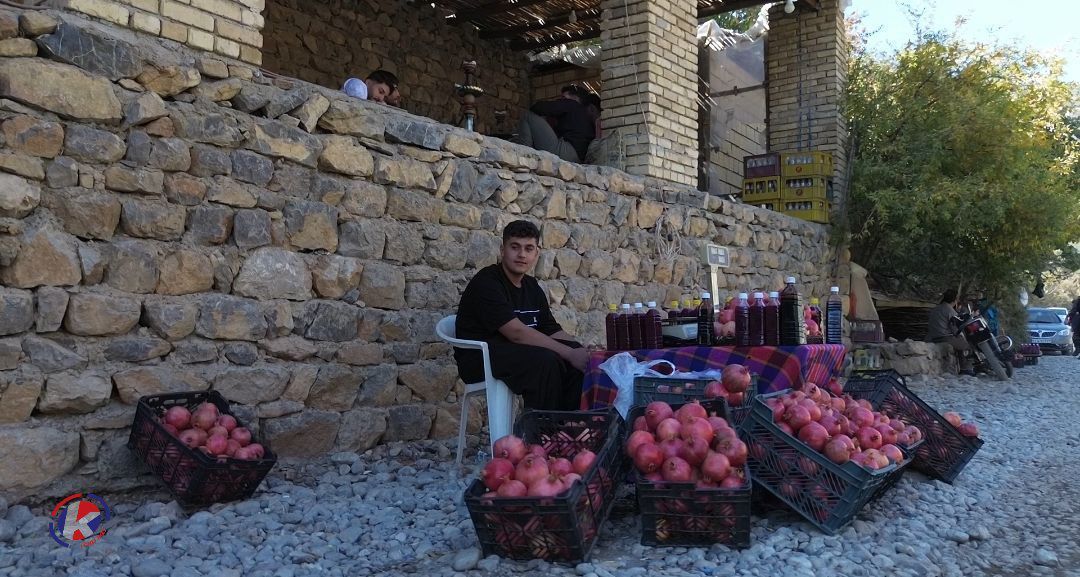 سرخترین لبخند پاییز در دل اورامانات